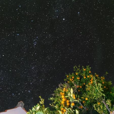 "Villa Servanda " - Relax, Nature, Wide Views Of The Sea And A Starry Sky Puntagorda المظهر الخارجي الصورة