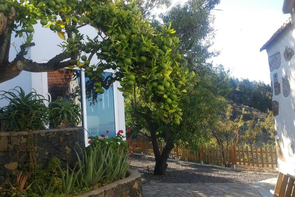 "Villa Servanda " - Relax, Nature, Wide Views Of The Sea And A Starry Sky Puntagorda المظهر الخارجي الصورة