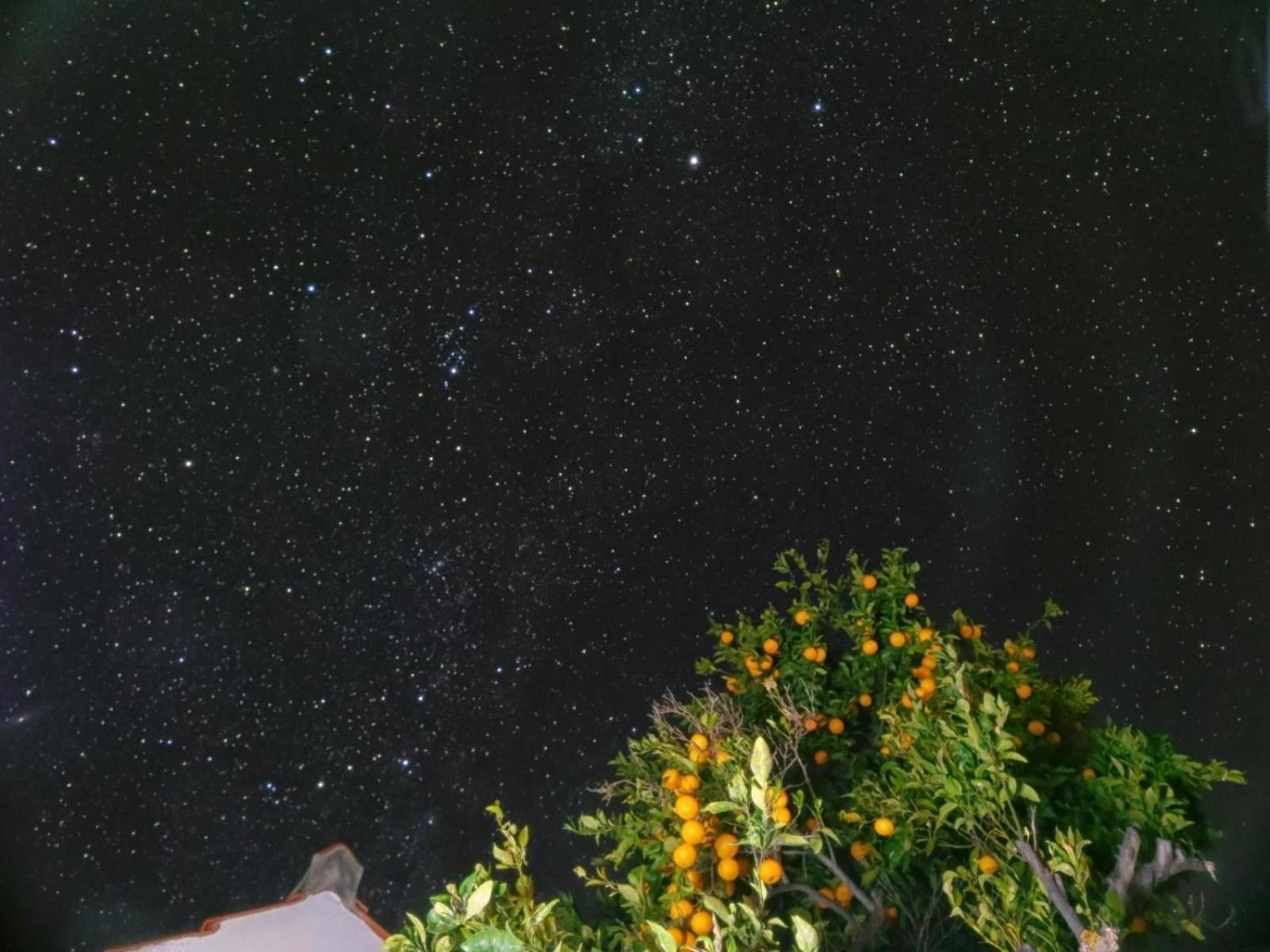 "Villa Servanda " - Relax, Nature, Wide Views Of The Sea And A Starry Sky Puntagorda المظهر الخارجي الصورة